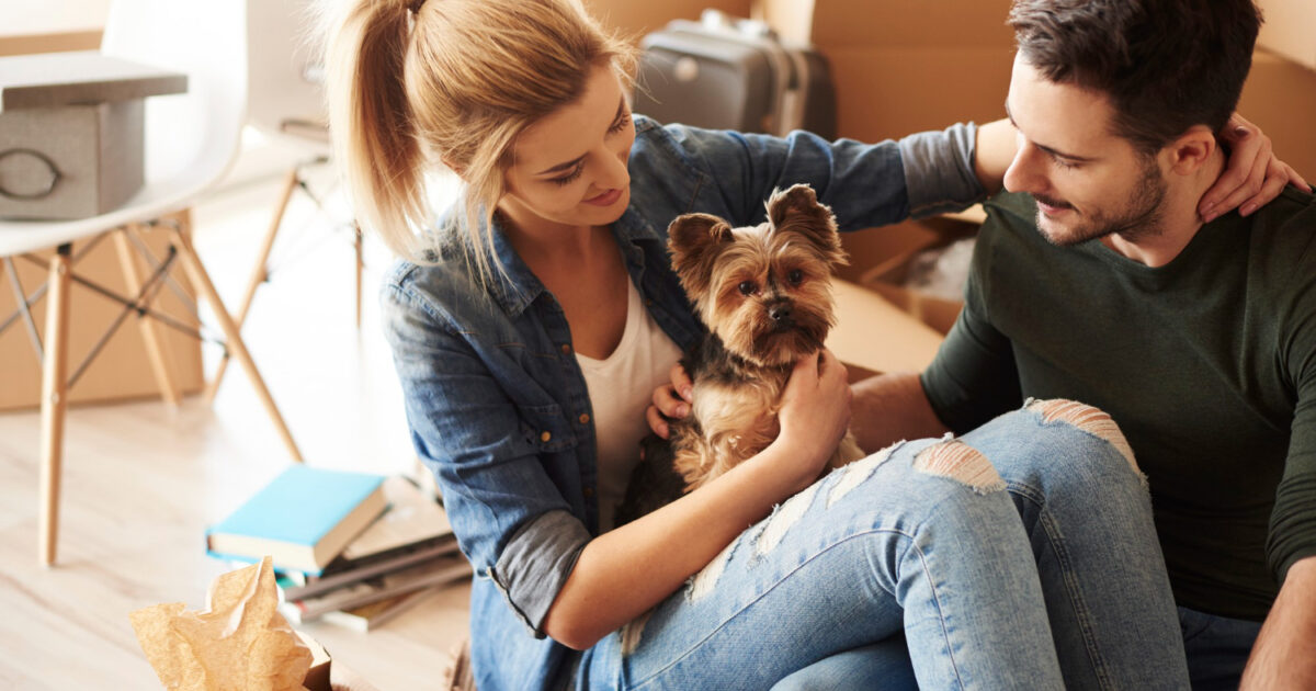 como afectan las mudanzas a los perros