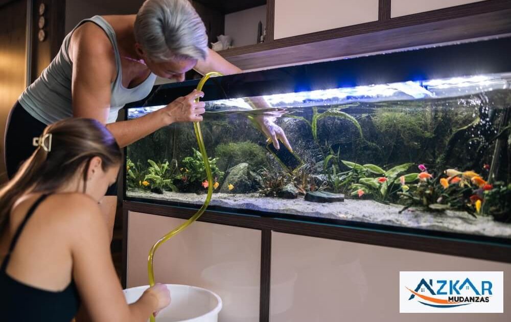 Mudanza con un acuario a Getxo - Azkar Mudanzas