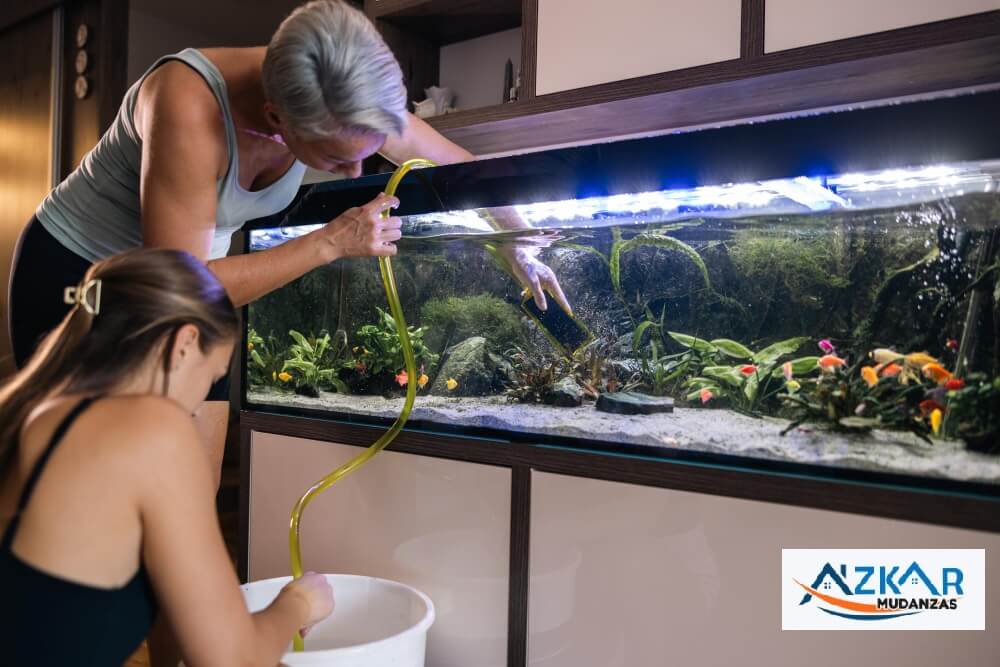 Mudanza con un acuario a Getxo - Azkar Mudanzas